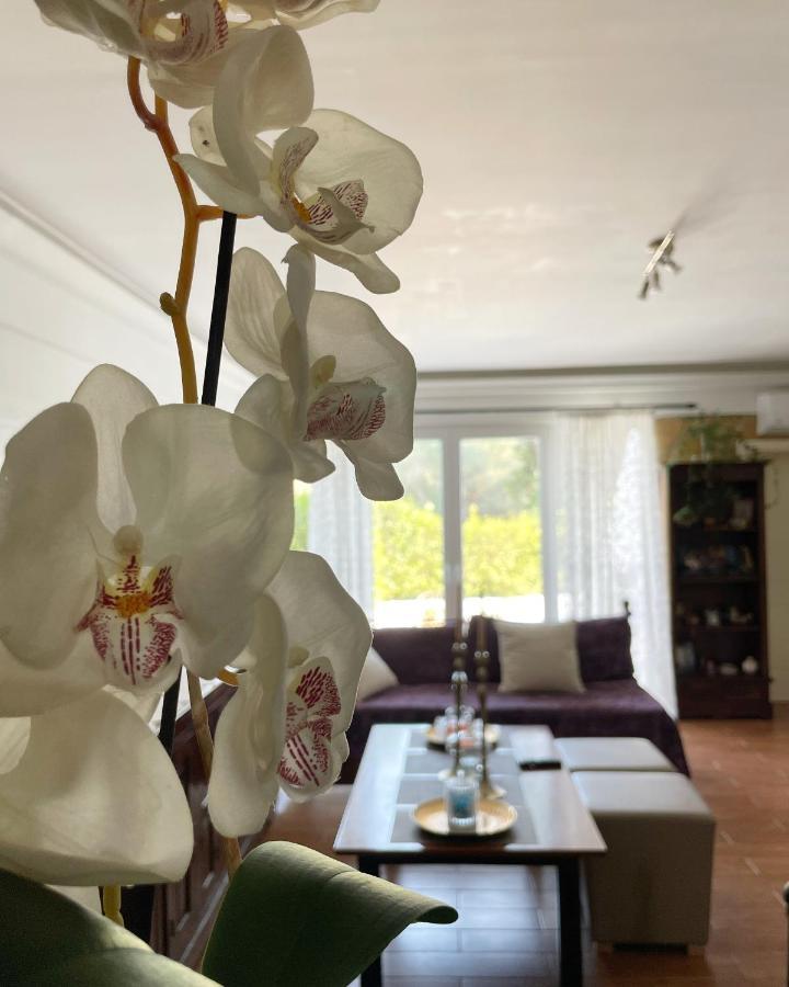 Villa Anasandra - 3 Bedroom Villa Kompítsion Eksteriør bilde